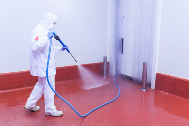 Best Rust Removal  in La Vernia, TX