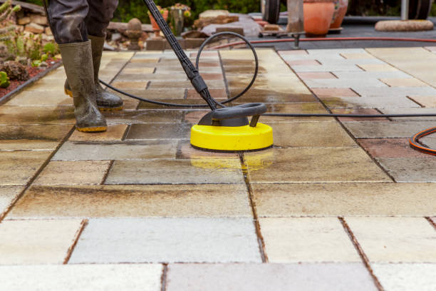 Best Solar Panel Cleaning  in La Vernia, TX