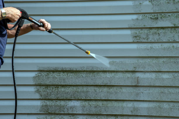 Best Fence Cleaning  in La Vernia, TX