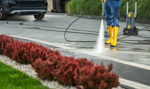 Best Pool Deck Cleaning  in La Vernia, TX